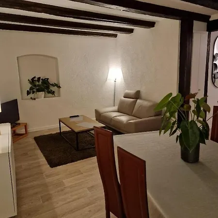 Apartment New Loft Centre Vieille Ville, Vue Petite Venise Parking, Balcon 2 Colmar
