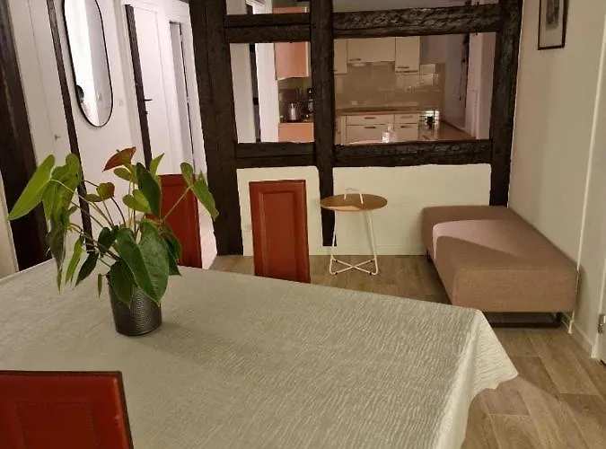 New Loft Centre Vieille Ville, Vue Petite Venise Parking, Balcon 2 科尔马