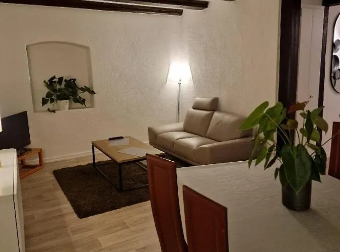 公寓 New Loft Centre Vieille Ville, Vue Petite Venise Parking, Balcon 2 科尔马